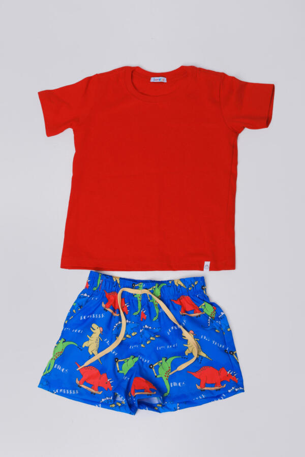 Conjunto Dino Radical